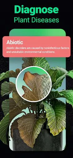Plantum - Plant Identifier