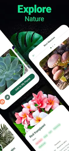 Plantum - Plant Identifier