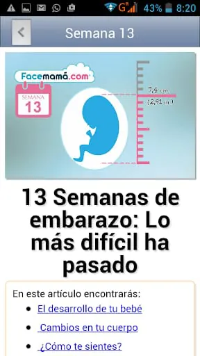 Pregnancy Weeks Calculator