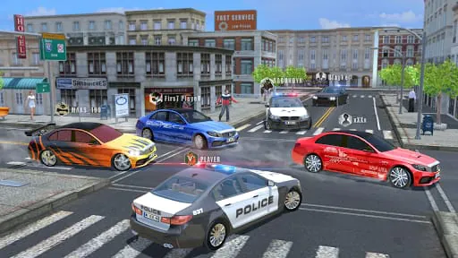 CarSim M5&C63
