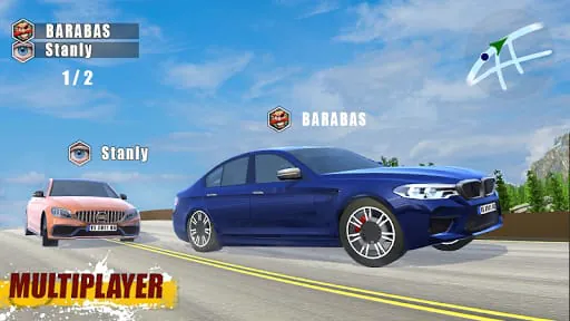 CarSim M5&C63