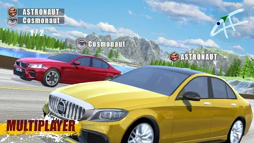 CarSim M5&C63