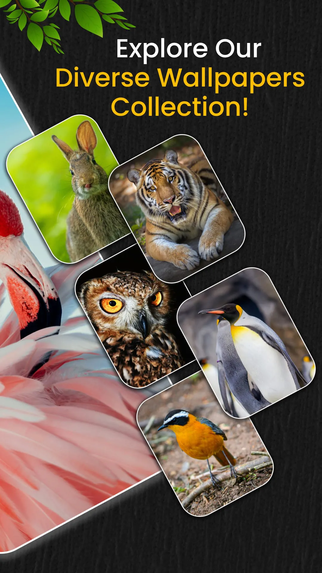 Animal Ringtones