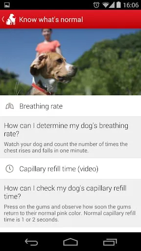 Pet First Aid