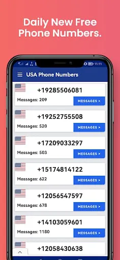 USA Phone Numbers, Receive SMS
