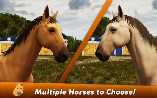Horse Show Jumping Champions 2