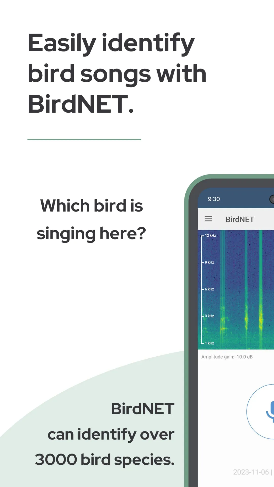 BirdNET
