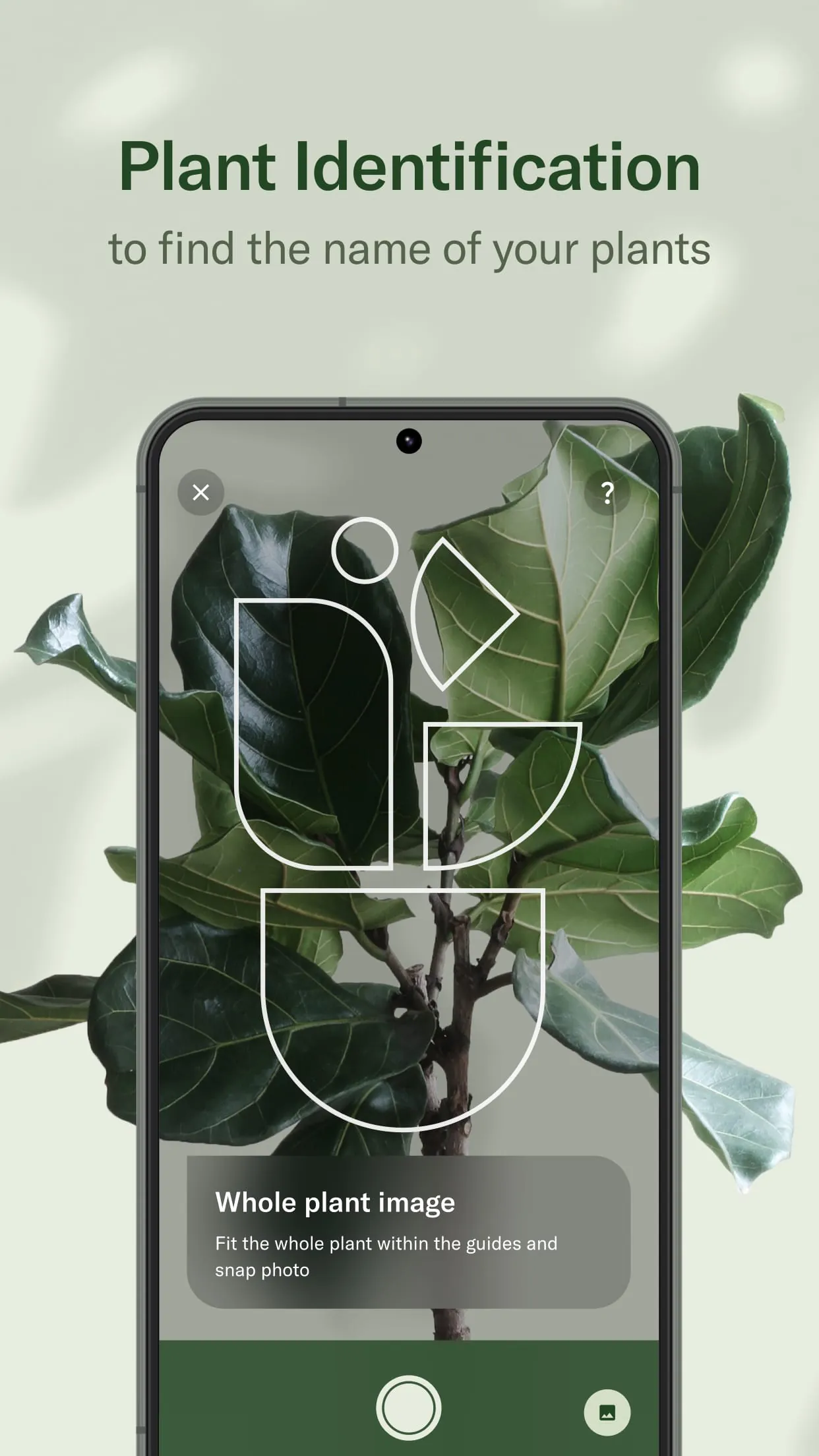 Planta - Care for your plants
