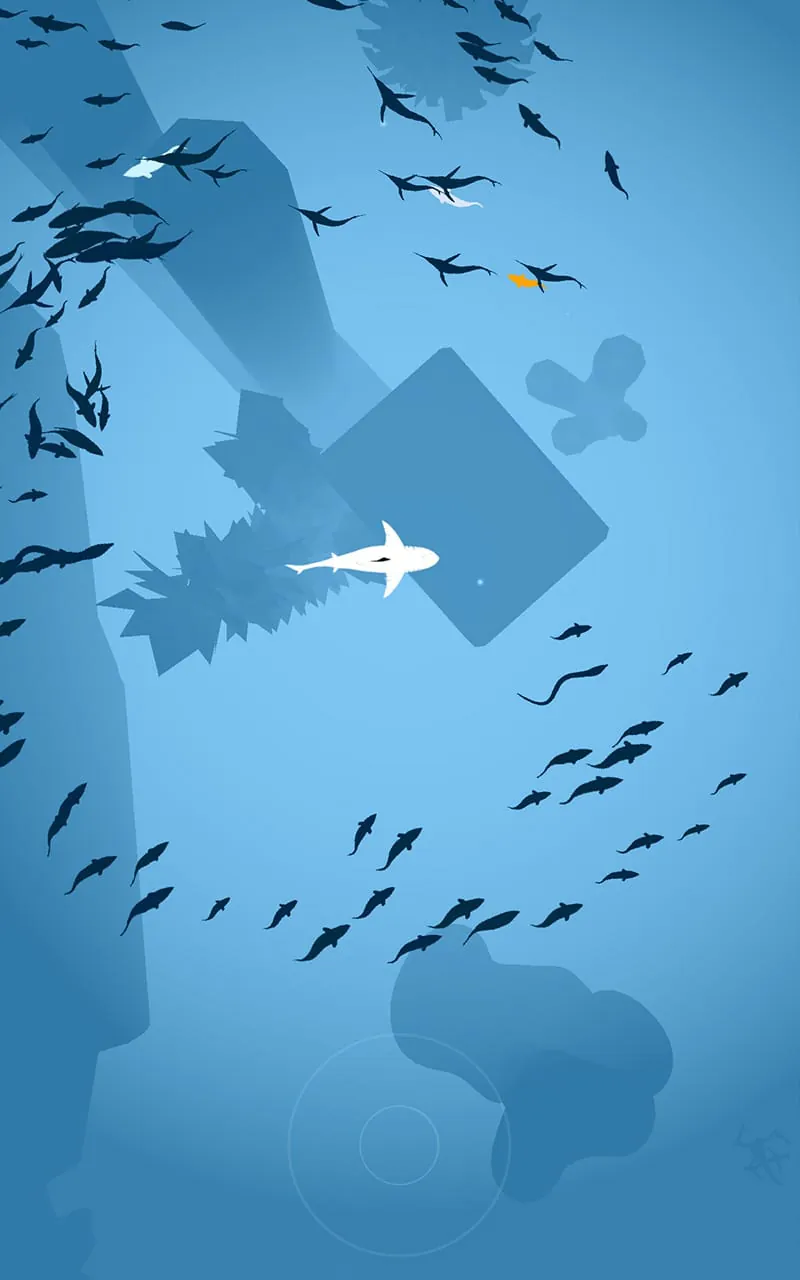 Shoal of fish