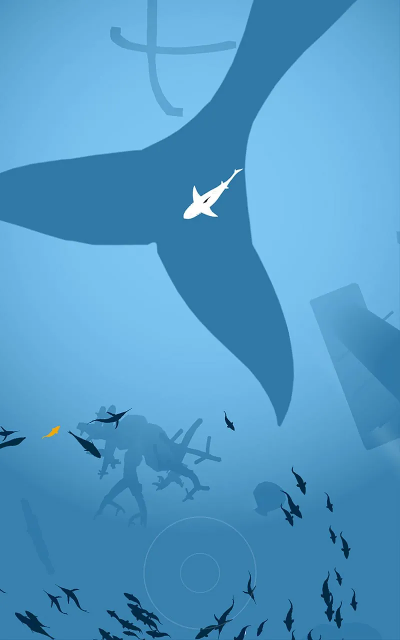 Shoal of fish