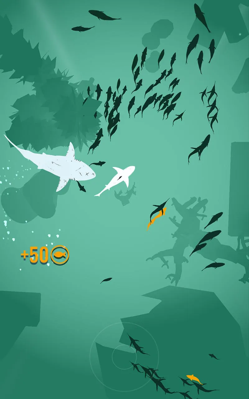 Shoal of fish