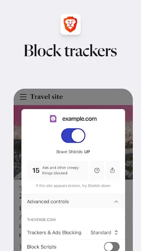 Brave Private Web Browser, VPN