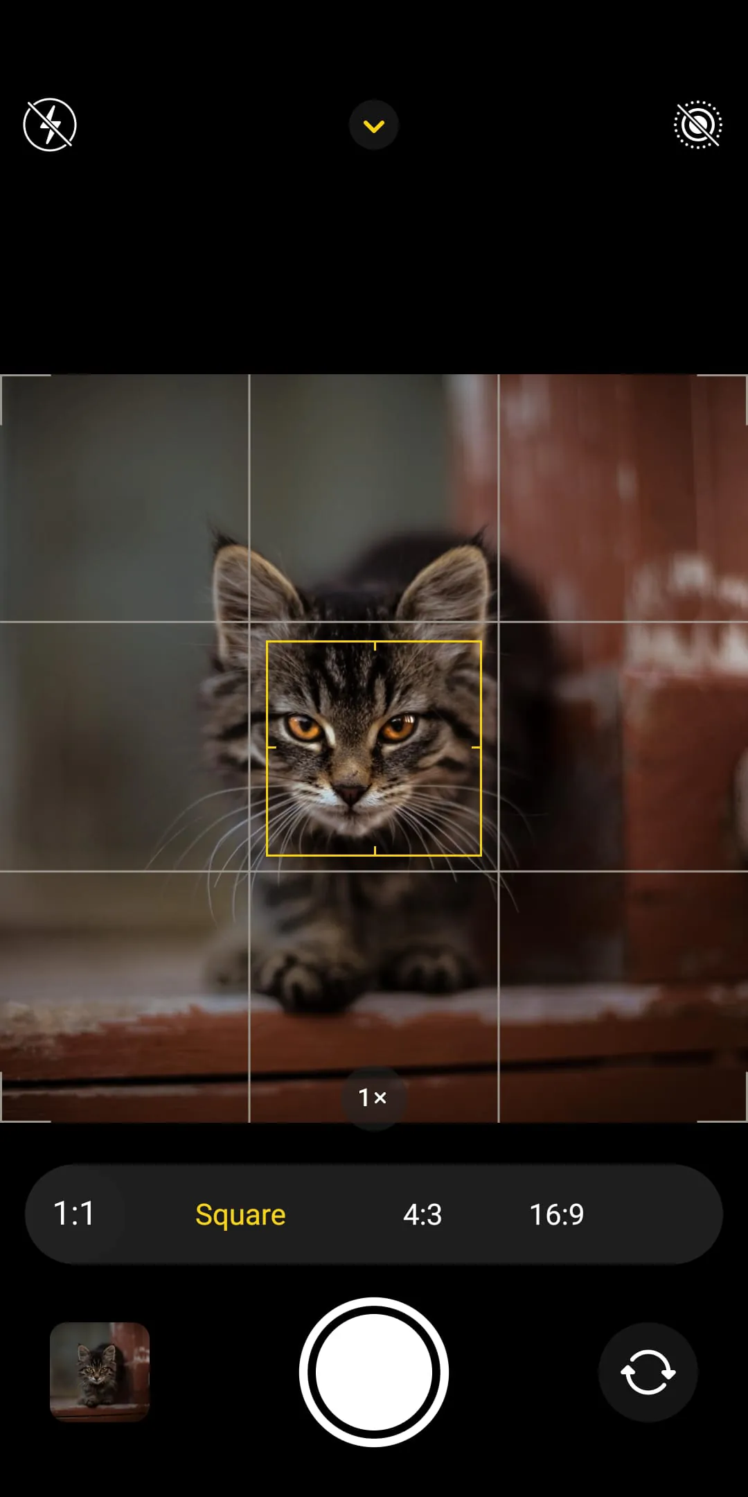 CAMERA IOS 16