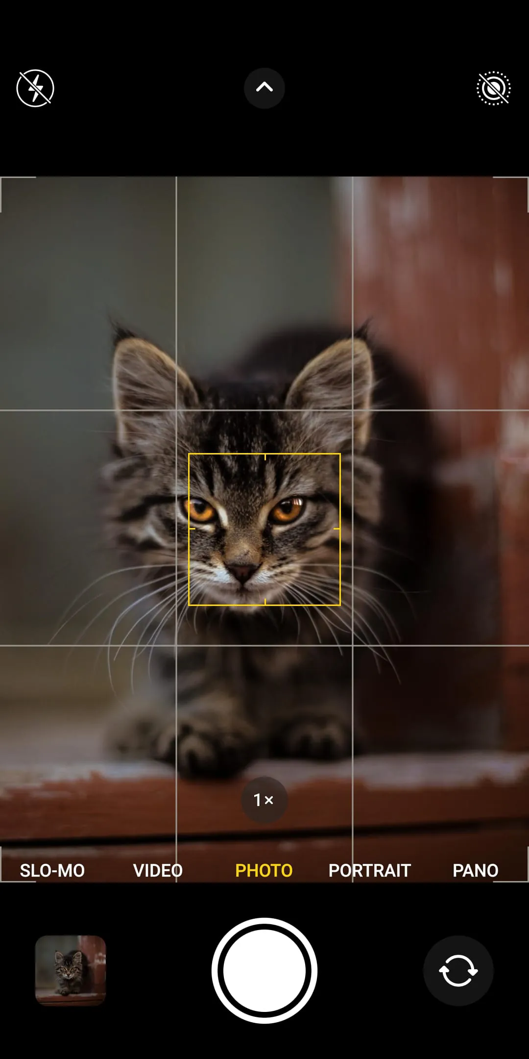 CAMERA IOS 16