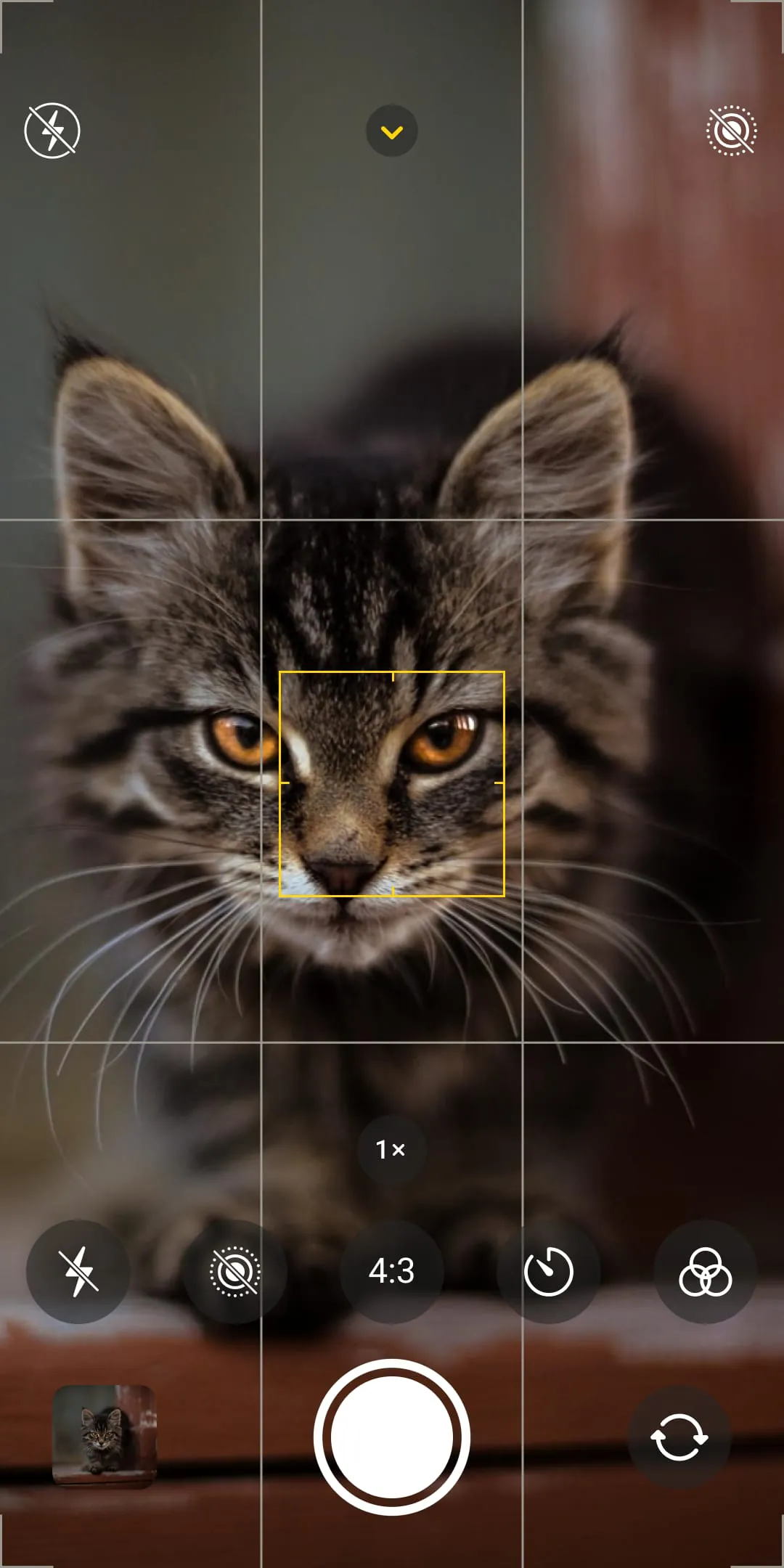 CAMERA IOS 16