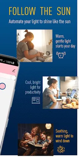 Cree Lighting