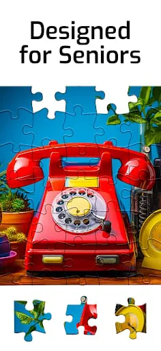 Puzzles for Seniors
