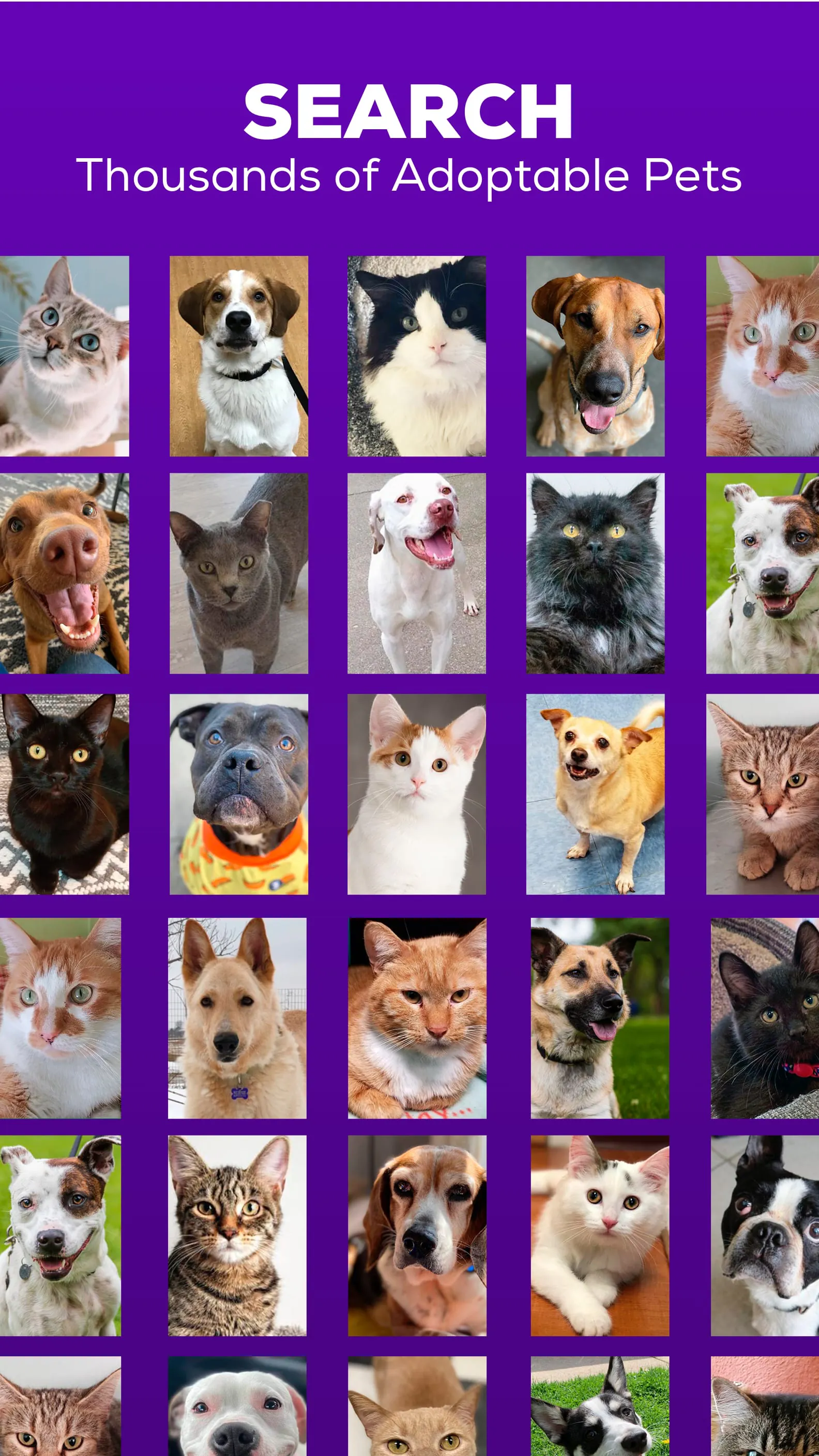 Petfinder - Adopt a Pet