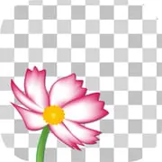Edge Tracer -Remove background