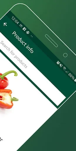 Morrisons Groceries