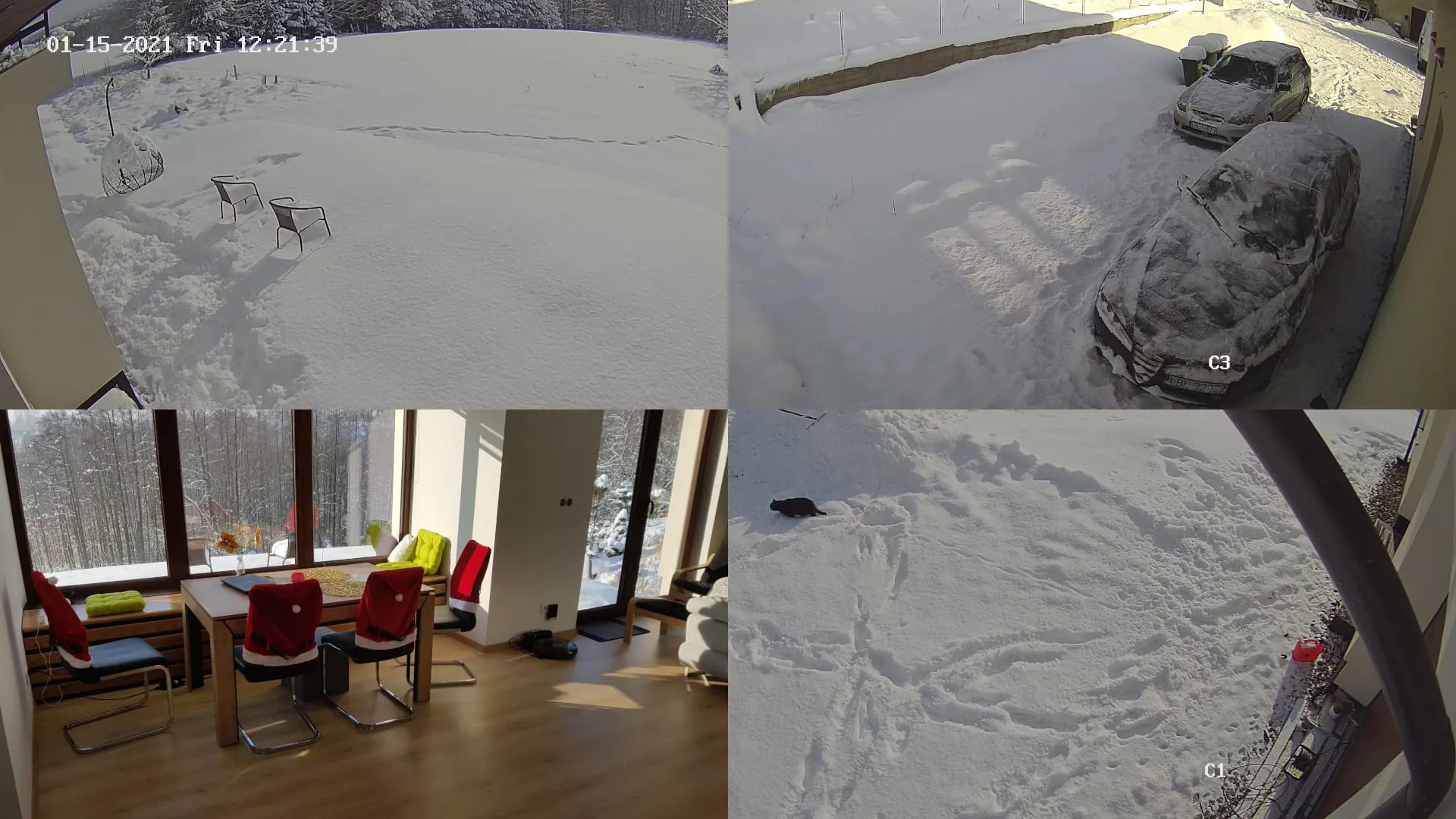 IP Camera Viewer