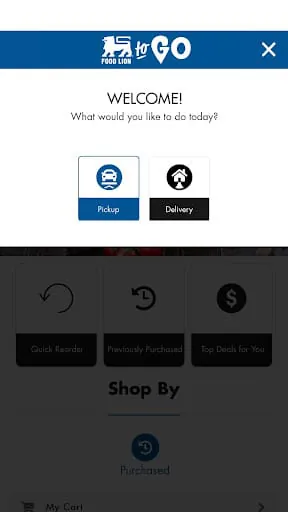 Food Lion To Go