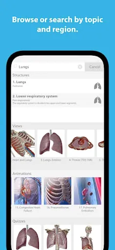 Human Anatomy Atlas 2025