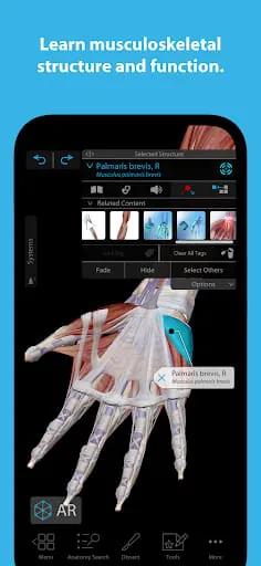 Human Anatomy Atlas 2025