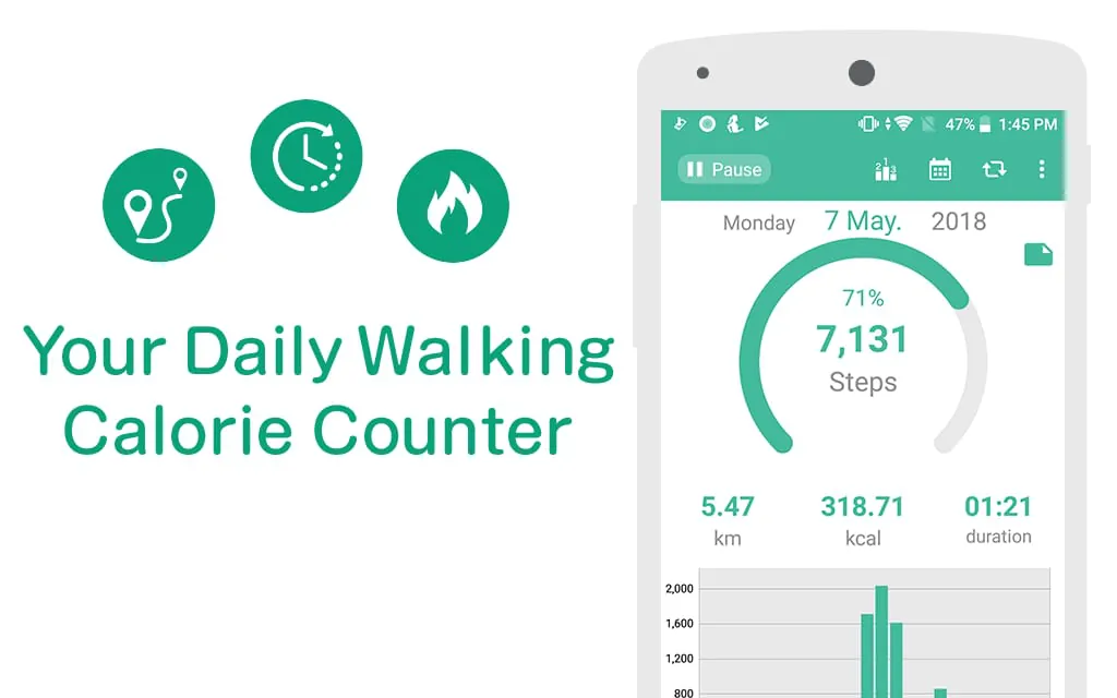 Pedometer - Step Counter Maipo