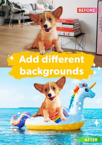 Dog Photo Editor