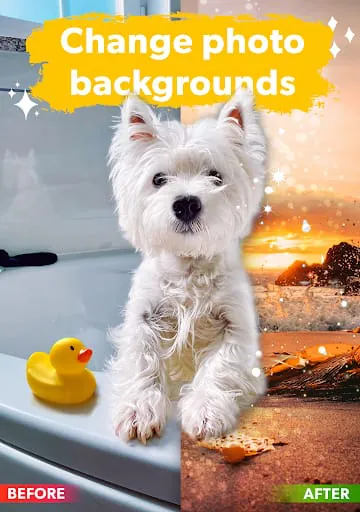 Dog Photo Editor