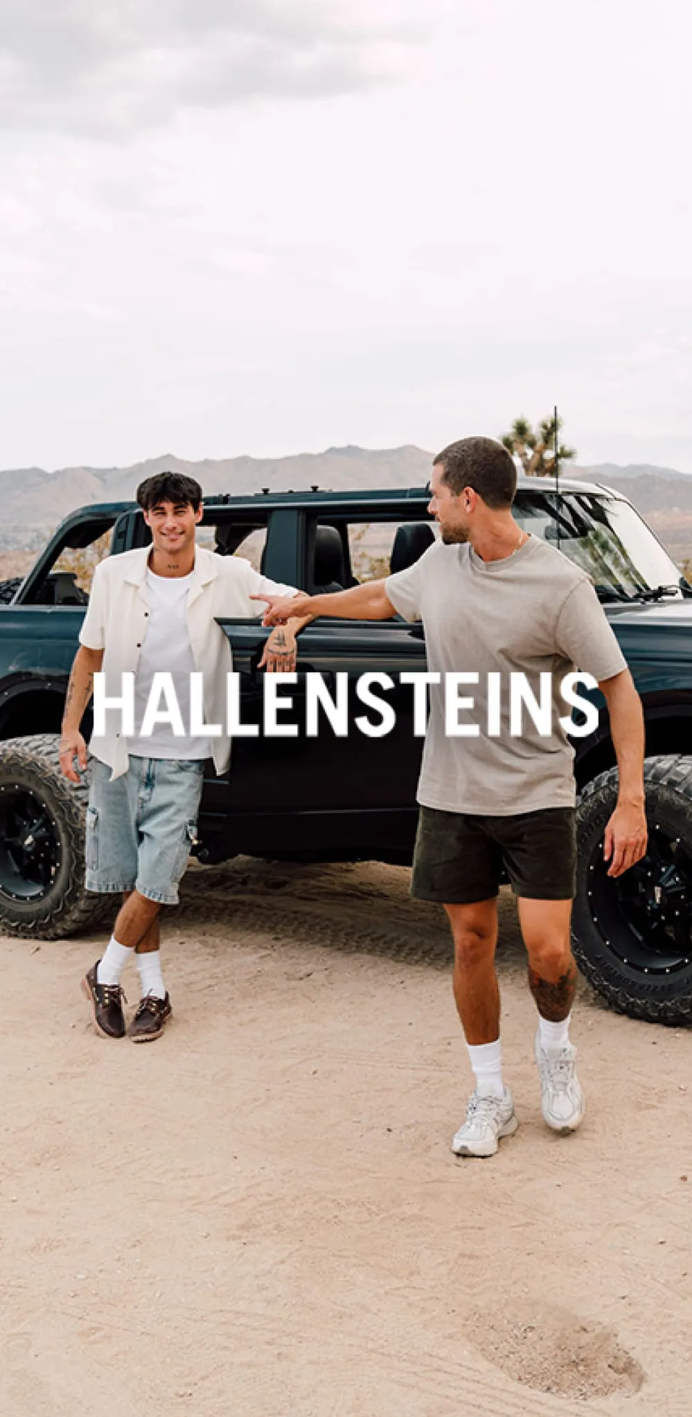 Hallensteins