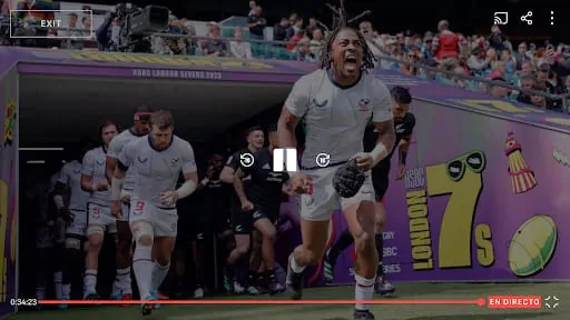 The Rugby Network