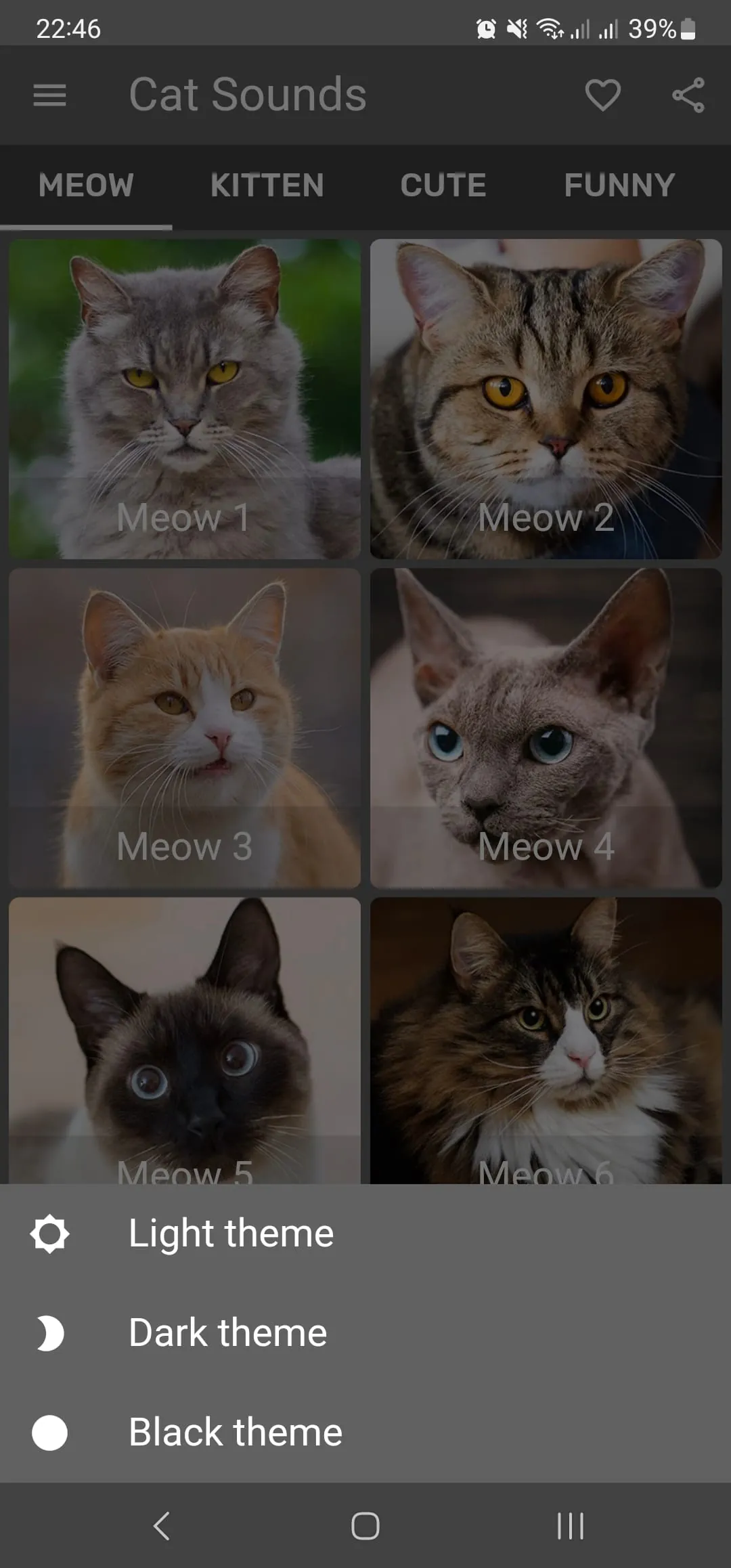 Cat Sounds - Meow Noises