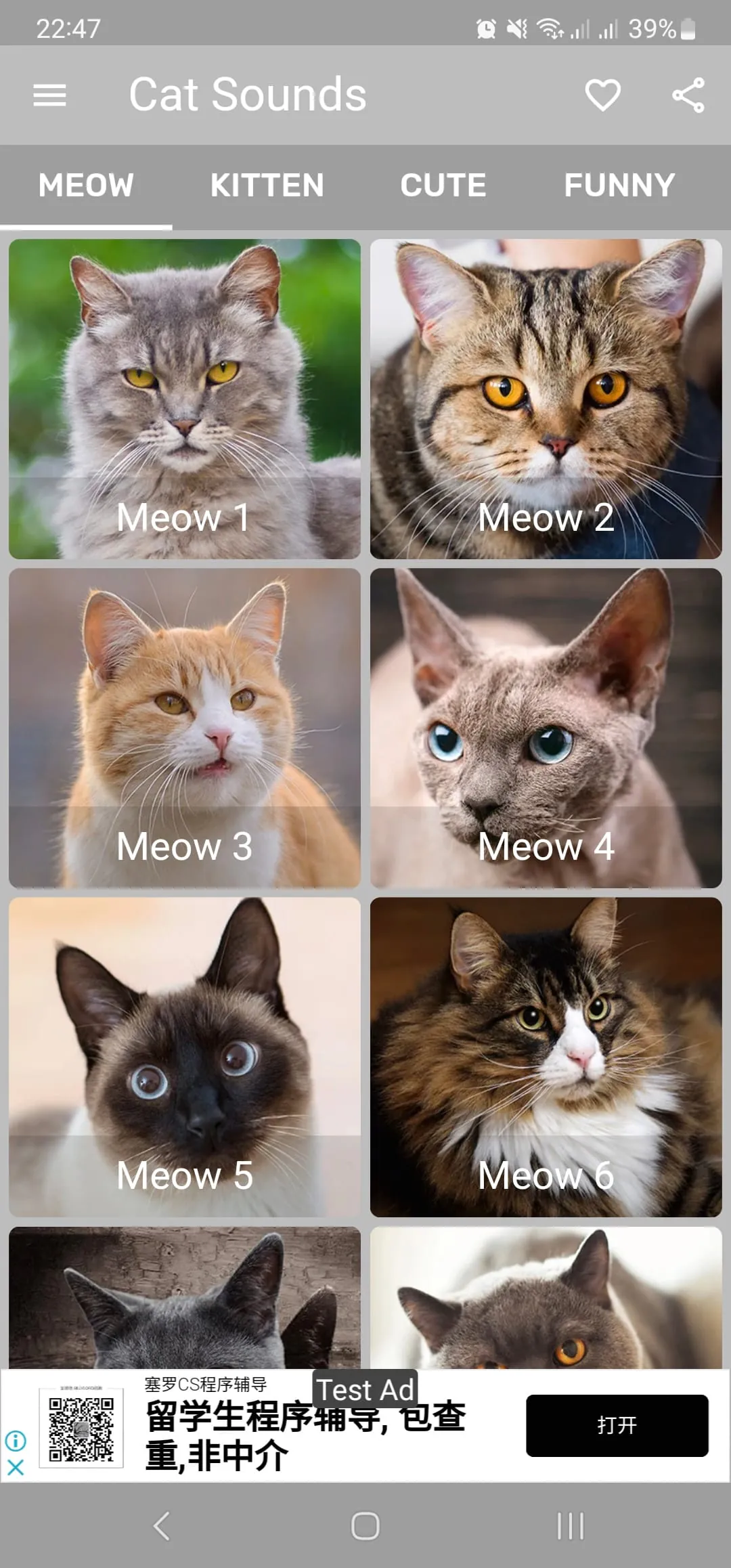 Cat Sounds - Meow Noises