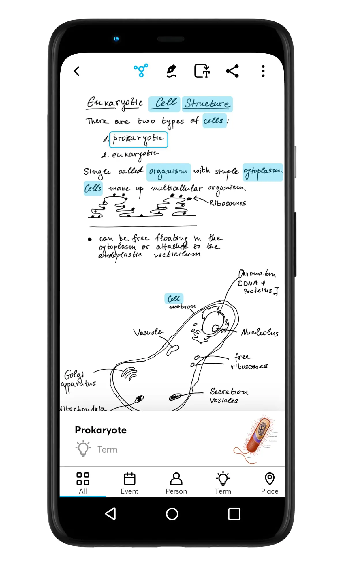 Wacom Notes