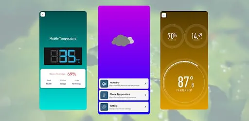 Humidity and Temperature Meter