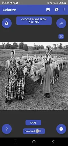 Colorize Images