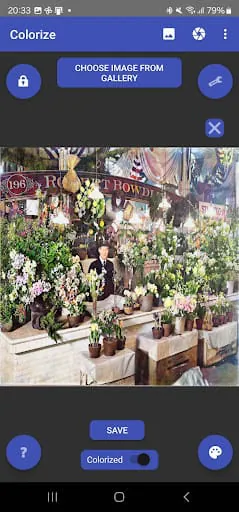 Colorize Images