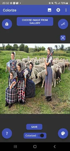 Colorize Images