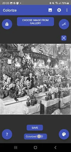 Colorize Images